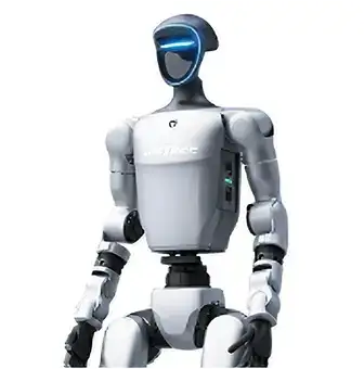Humanoid Robot